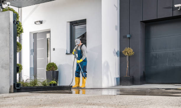 Best Graffiti Removal  in Estero, FL